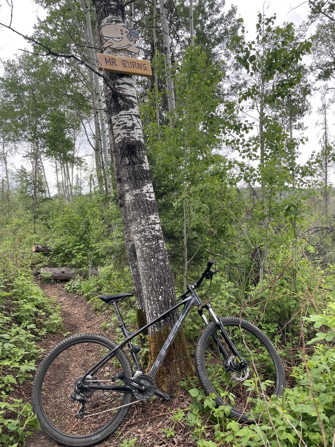 trek marlin 6 2020 review