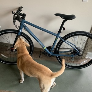 2022 REI Co-op Cycles CTY 1.1 Blue