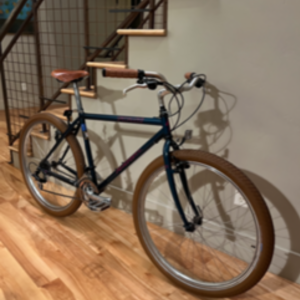 1993 Specialized Rockhopper Teal