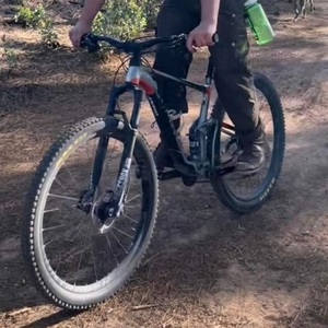 2017 Giant Anthem 27.5 Silver, gray or bare metal, Black, and Orange