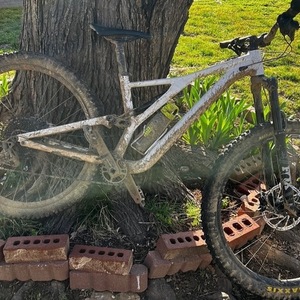 2020 Specialized Stump jumper White