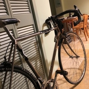 Miyata 54cm Silver, gray or bare metal