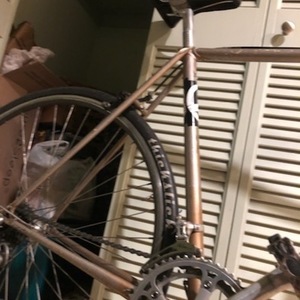 Miyata 54cm Silver, gray or bare metal