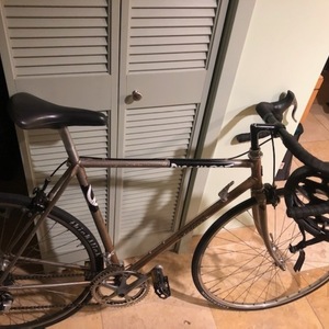 Miyata 54cm Silver, gray or bare metal