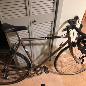 Miyata 54cm Silver, gray or bare metal