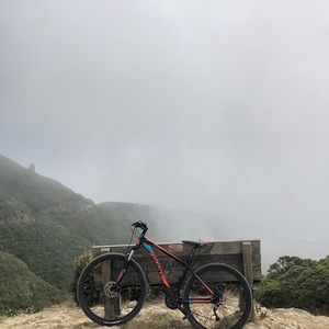 2017 Giant Revel 29er Black, Orange, and Blue