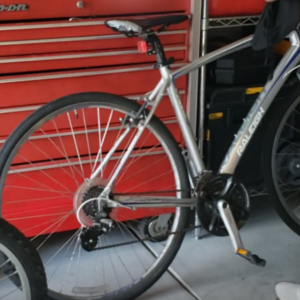 Raleigh Silver, gray or bare metal