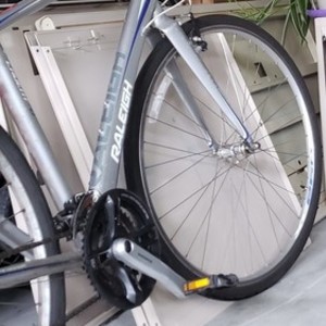 Raleigh Silver, gray or bare metal