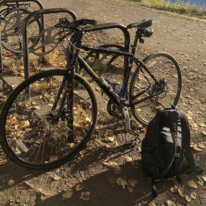 2009 Kona Dew Plus Black and Yellow or Gold