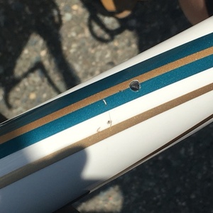 2013 Specialized Ruby Elite Apex Compact White, Yellow or Gold, and Teal