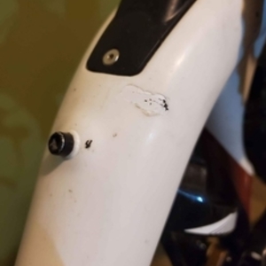 2016 Rocky Mountain Bicycles Thunderbolt799 White, Black, and Red