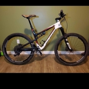 2016 Rocky Mountain Bicycles Thunderbolt799 White, Black, and Red