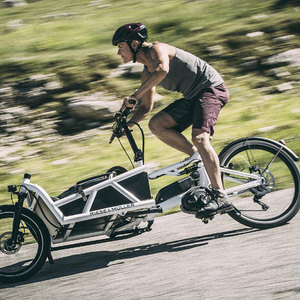 Riese und Müller cargo bike (front storage) White and Stickers tape or other cover-up