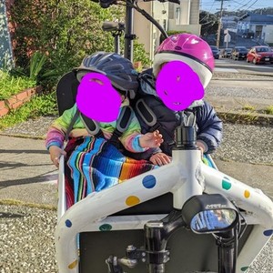 Riese und Müller cargo bike (front storage) White and Stickers tape or other cover-up