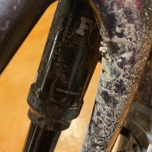 2020 Specialized StumpJumper Comp Evo Carbon Red