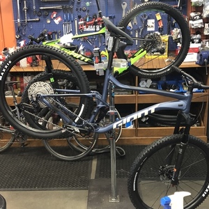 2021 Giant Stance 29 2 Blue