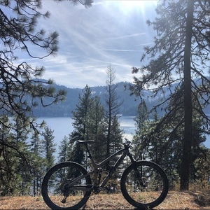 Trek Fuel EX 9.8 Silver, gray or bare metal