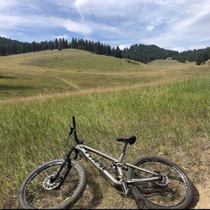 Trek Fuel EX 9.8 Silver, gray or bare metal