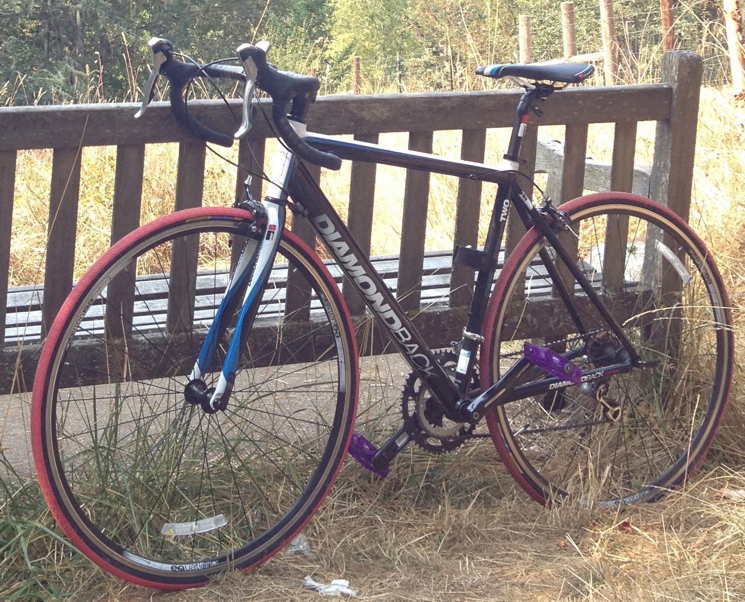 2011 Diamondback Podium 2