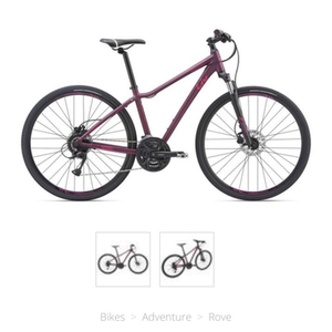 2019 Giant 1504210-2 Purple
