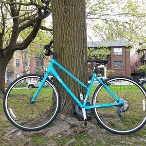 2016 Giant Alight 3 Blue