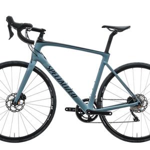 2020 Specialized Roubaix Blue