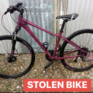 2019 Giant ISO 4210-2 Purple