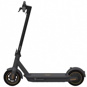 2021 Segway-Ninebot Ninebot Max G30P e-scooter Black, Silver, gray or bare metal, and Yellow or Gold