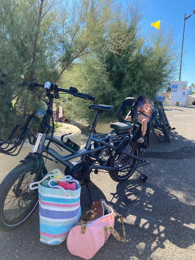 Cargo Bike Rear photo