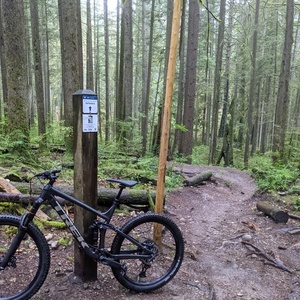 2021 Trek Remedy 8 Silver, gray or bare metal