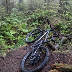 2021 Trek Remedy 8 Silver, gray or bare metal