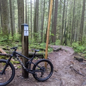 2021 Trek Remedy 8 Silver, gray or bare metal