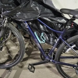 2021 Giant Liv Rove 4 Blue