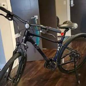 2021 Giant Liv Rove 4 Blue