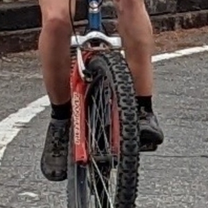 1999 Schwinn Homegrown Pro Blue