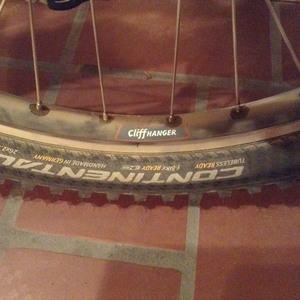 1999 Schwinn Homegrown Pro Blue