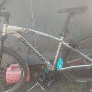 2016 Bianchi Kuma Silver, gray or bare metal