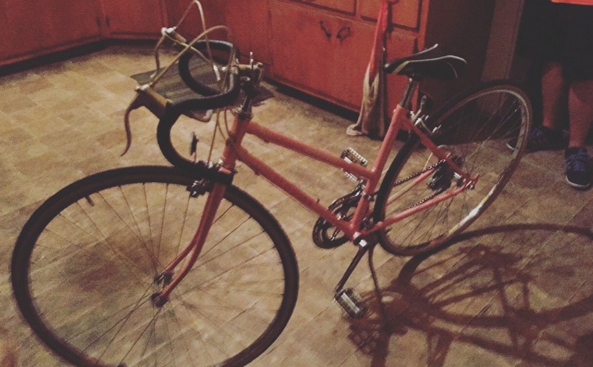 schwinn caliente bike