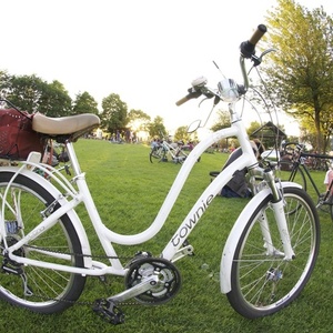 2011 Electra White