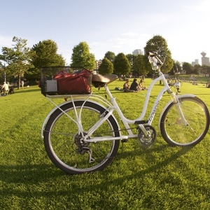 2011 Electra White