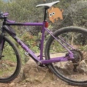 2017 Marin Bikes Cortina AX2 Black and Purple