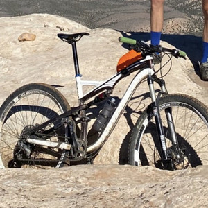 2011 Specialized Camber Pro 29er White and Brown