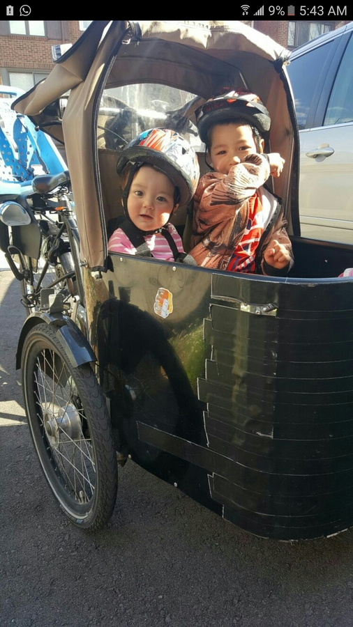 Cargo Tricycle photo