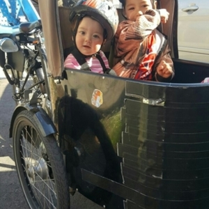 NIHOLA cargo tricycle (front storage) Black