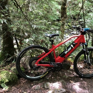 2017 PIM (Power in Motion) Archer Red