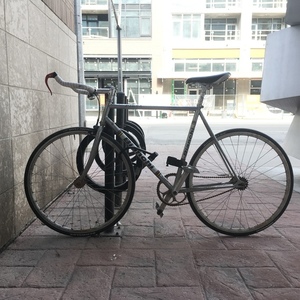 2023 Bianchi Pista Silver, gray or bare metal and White