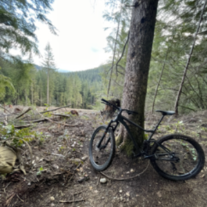 2021 Giant Stance Black