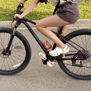 2019 Specialized Rockhopper Expert 29 Purple