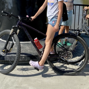 2019 Specialized Rockhopper Expert 29 Purple