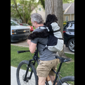 2019 Specialized Rockhopper Pro 1X 29 Black